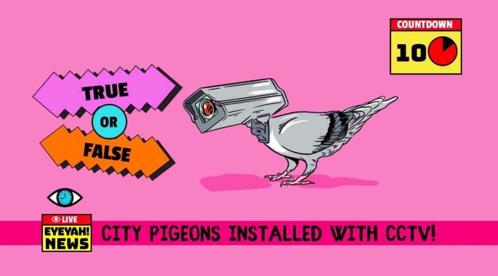 fake news quiz for kids eyeyah 1