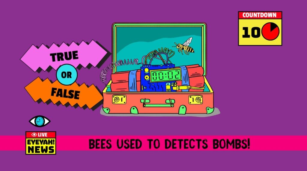 fake news quiz for kids