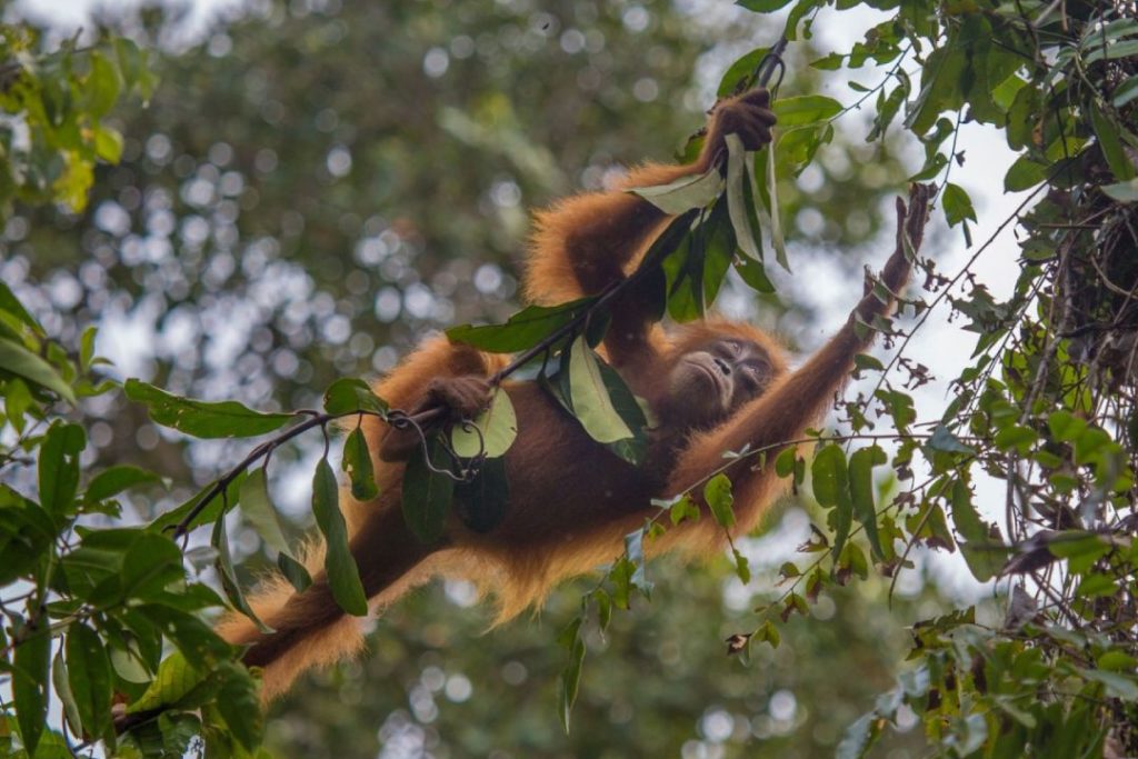 october binge watch our planet
