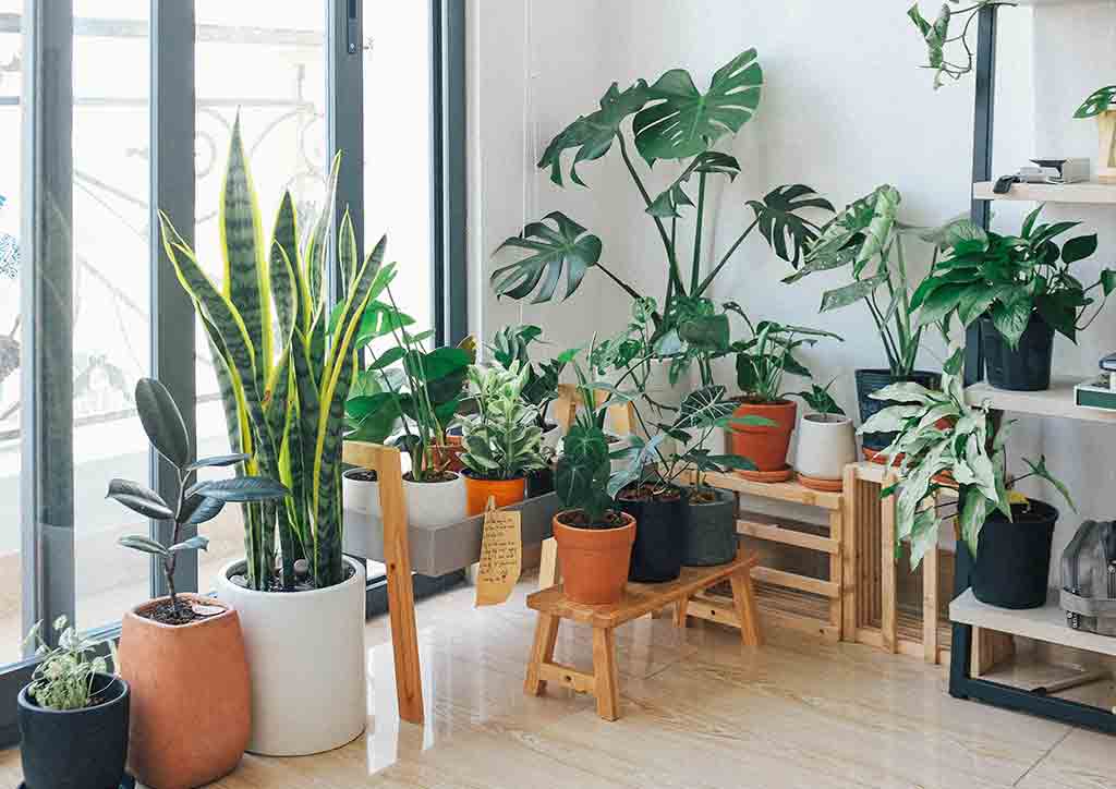 random plans indoors