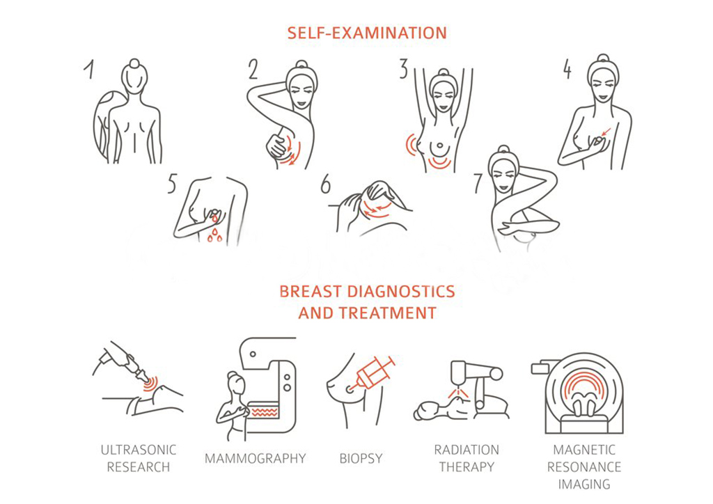 understanding breast cancer from a doctor's perspective