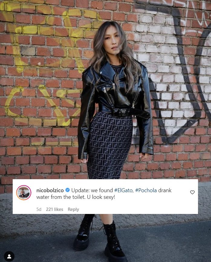 Well, Nico Bolzico found the cat anyway