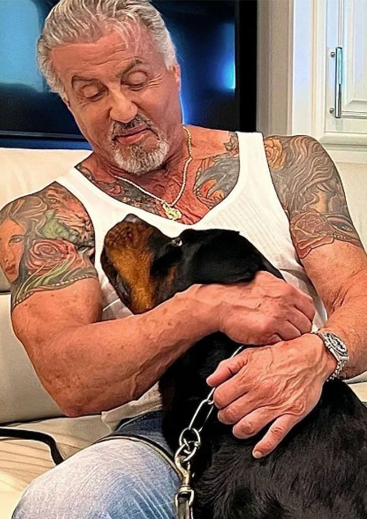 sylvester stallone divorce