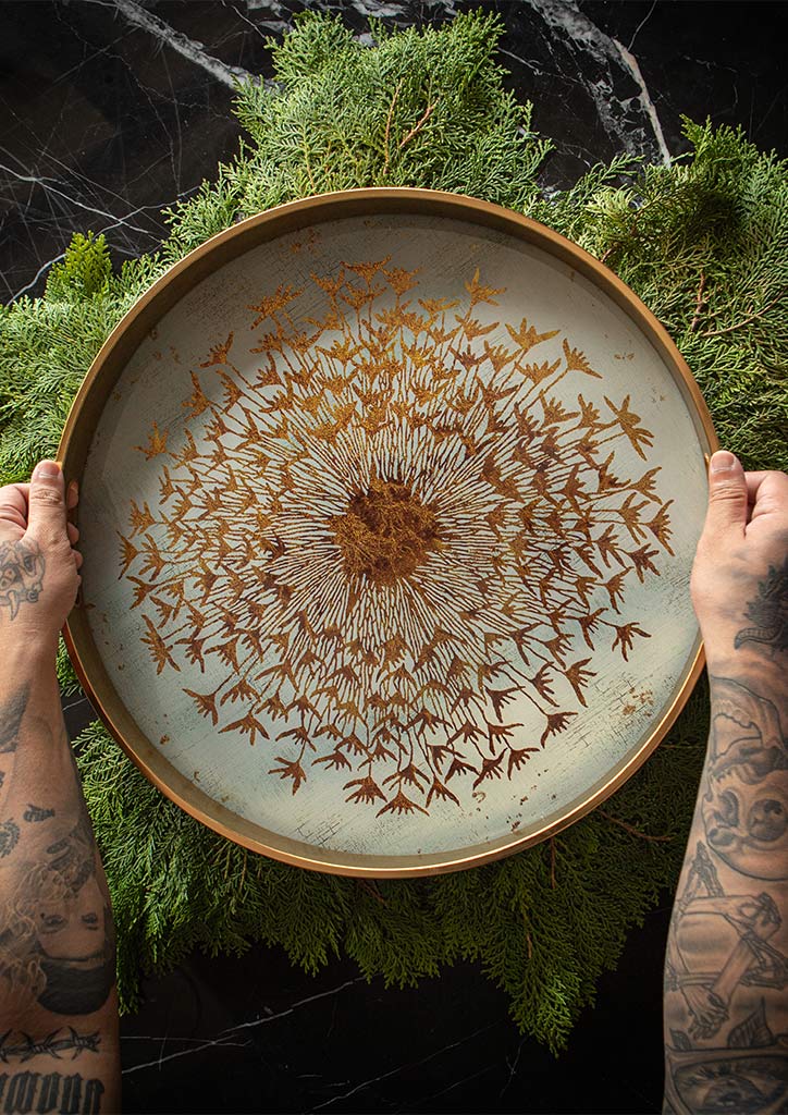 things to brighten up home