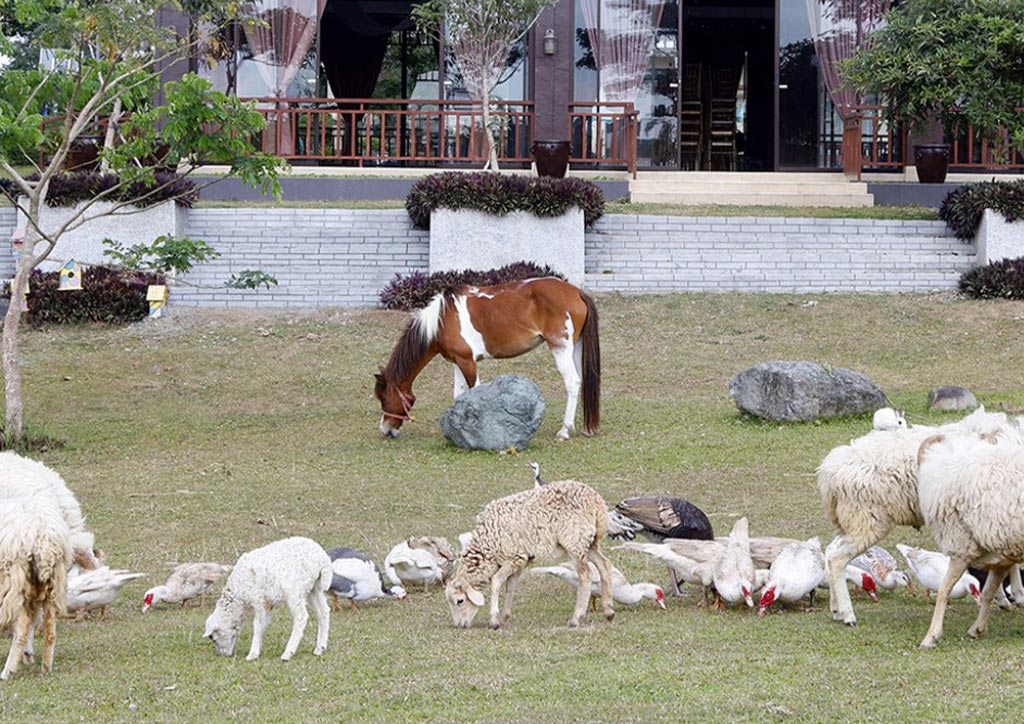 hotel kimberly tagaytay