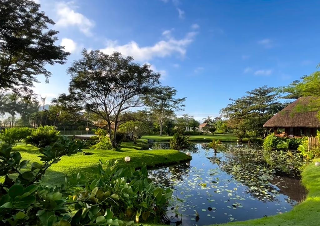 Lotuspod Bed and Breakfast Staycation Philippines