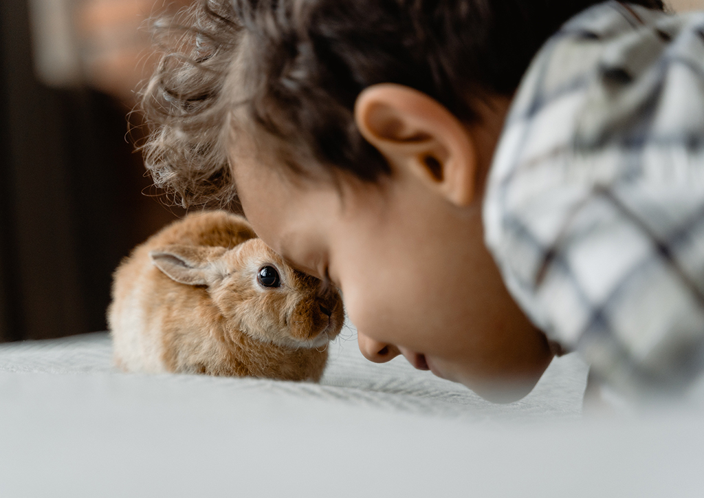 Kids born under the Rabbit zodiac sign.