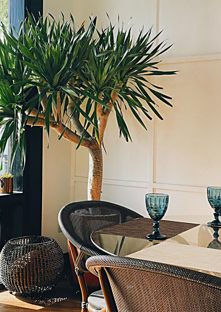 Gourmet Gypsy by Chef Waya Baguio