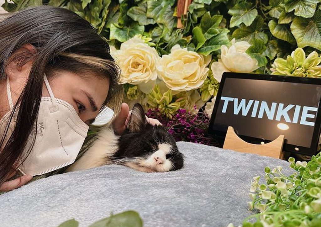 Janella Salvador saying goodbye to Twinkie