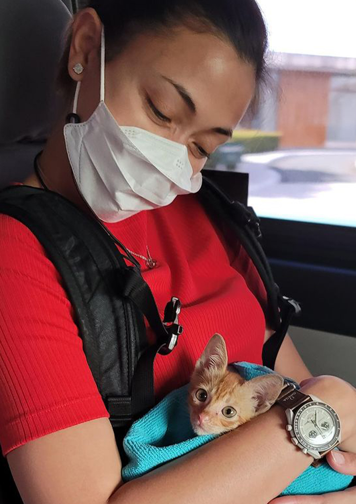 Jodi Sta Maria hugging her kitten Naia