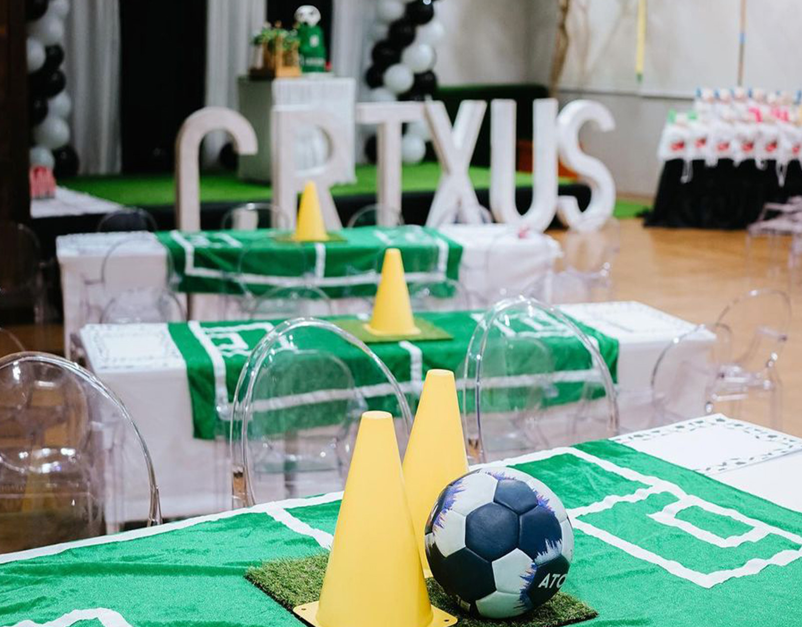 Crixus Sotto Birthday Venue Decoration