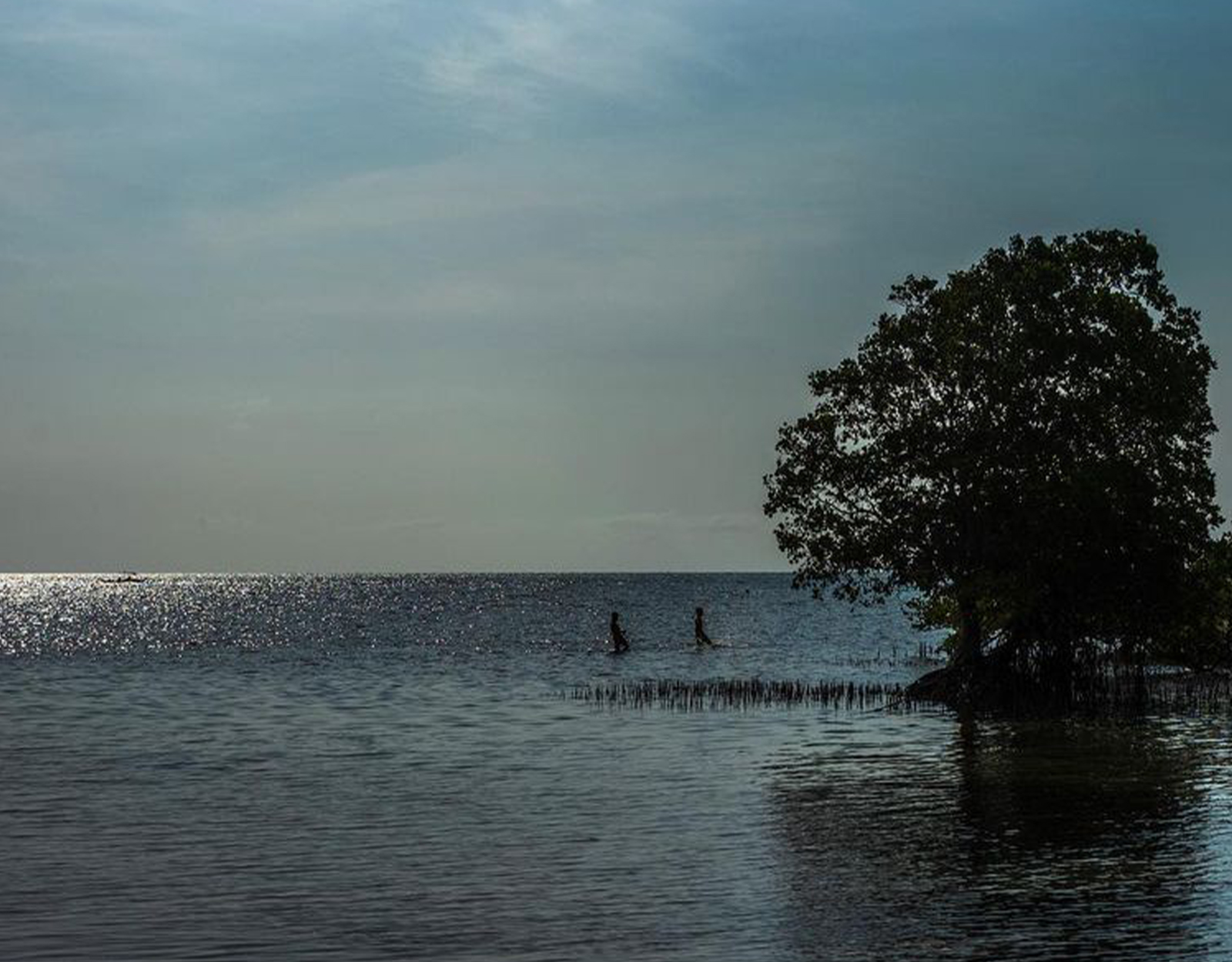 Ryan Agoncillo's photo of nature