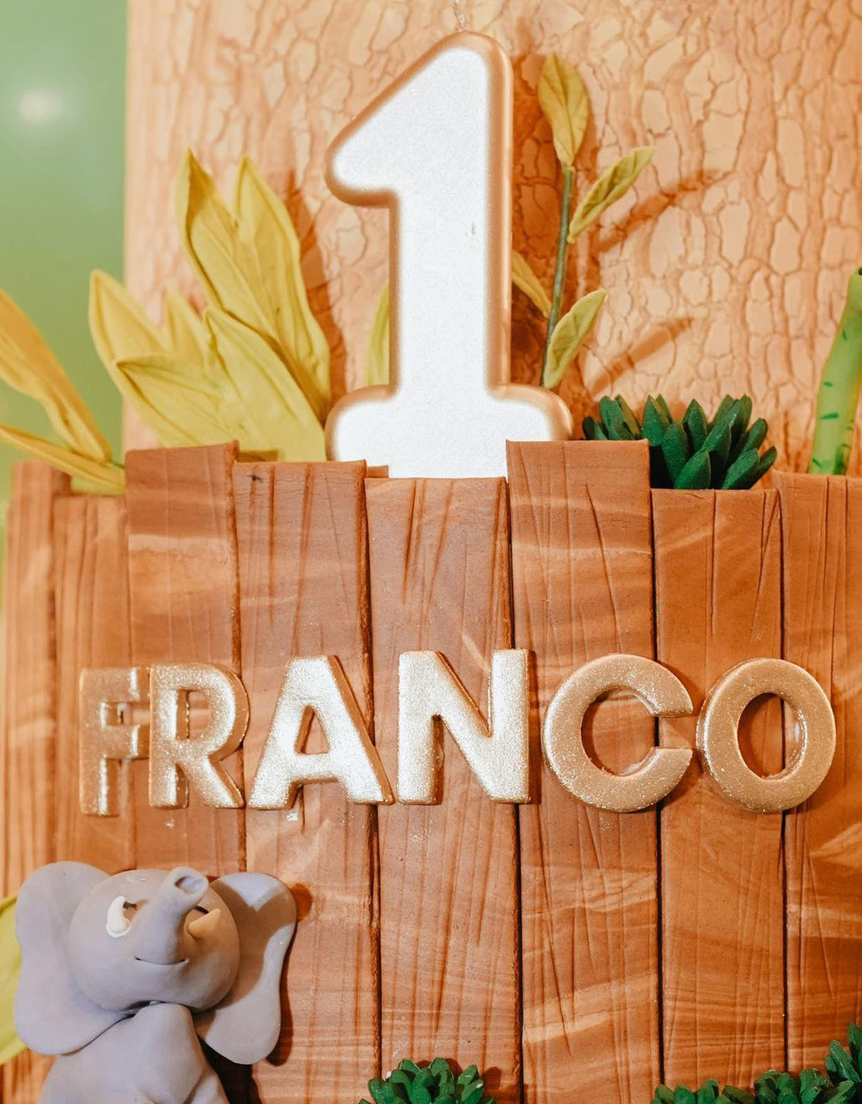 Arny Ross Holds a Jungle-Themed Party for Her Son Jordan