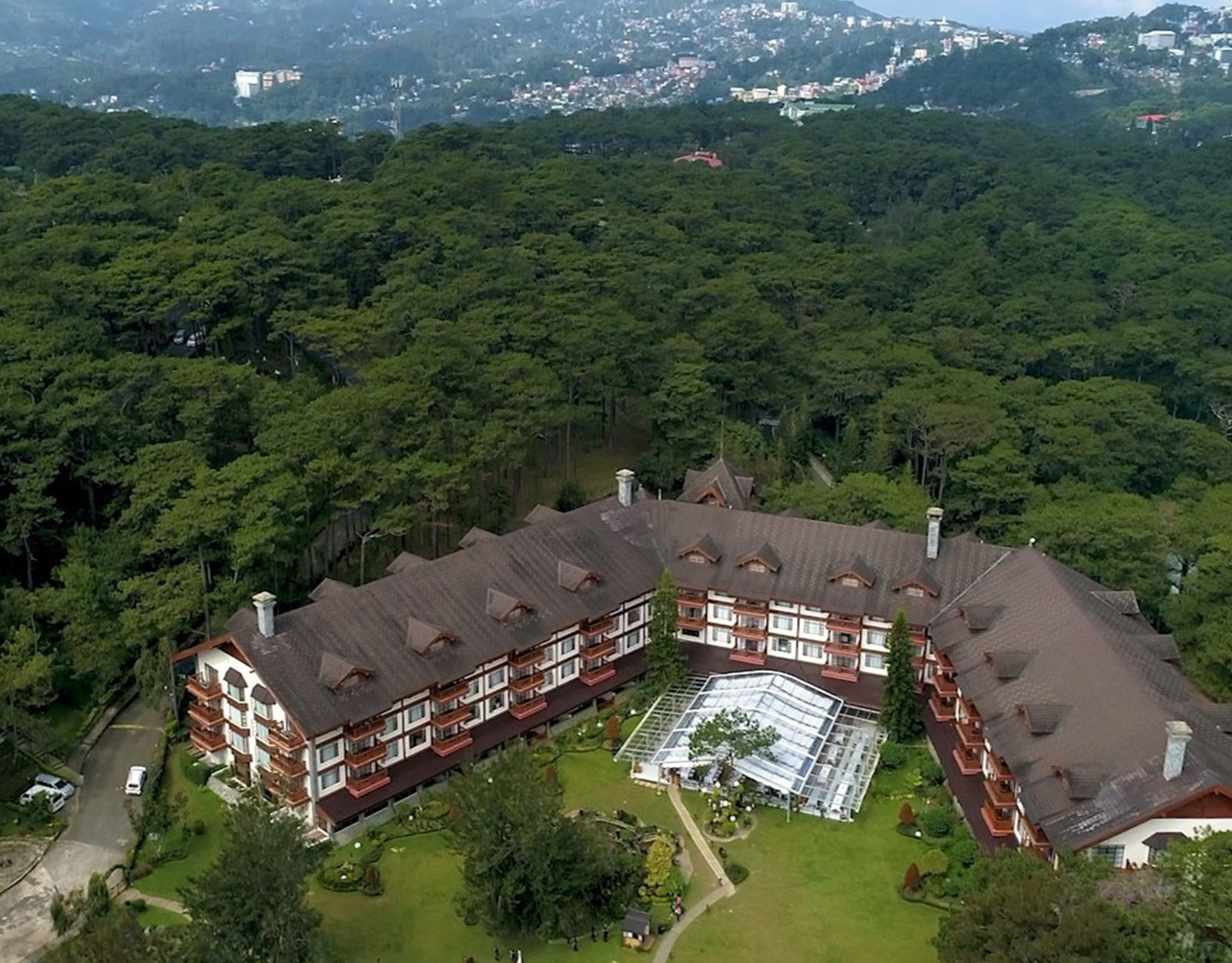 Why Kids and Parents are Hugging Trees Now