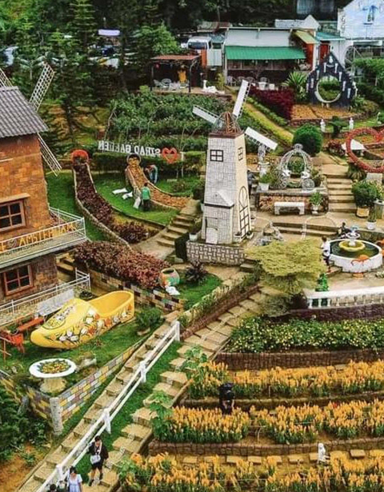 Why Kids and Parents are Hugging Trees Now