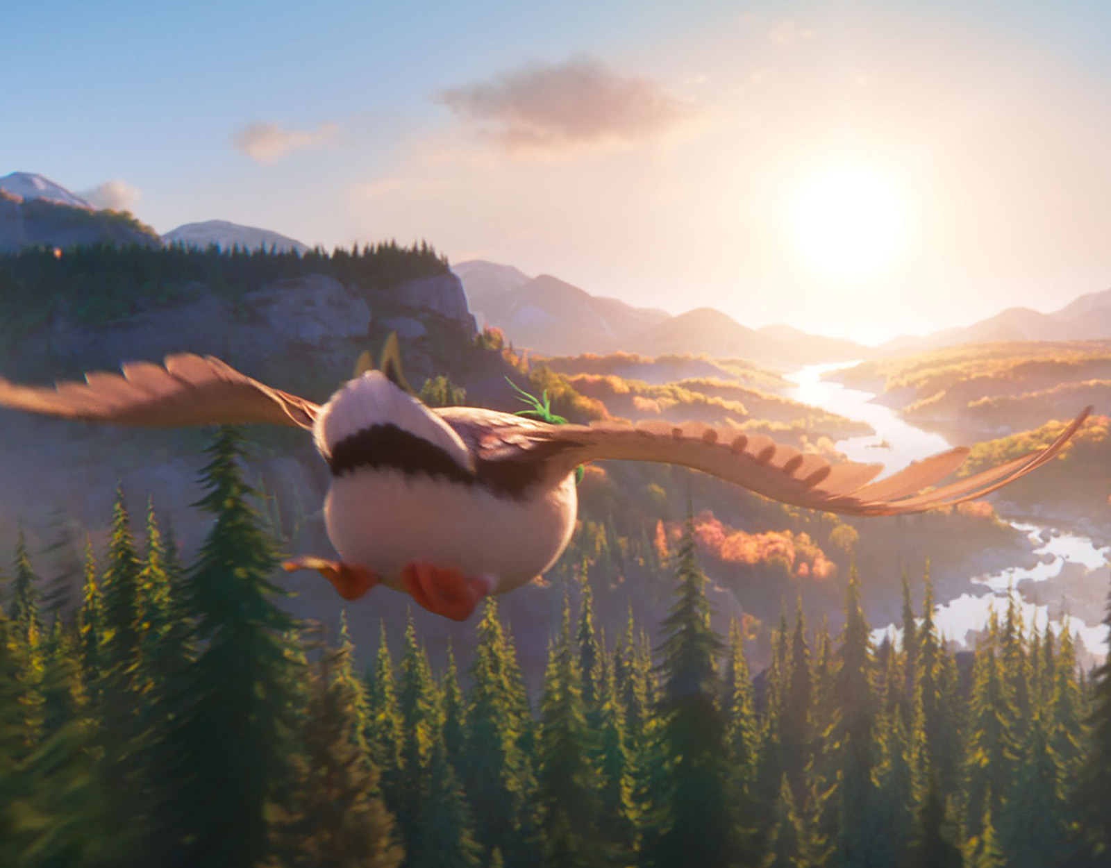 Migration the movie flying bird