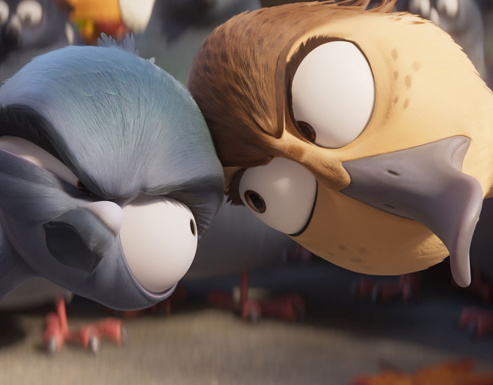 Migration the movie angry birds