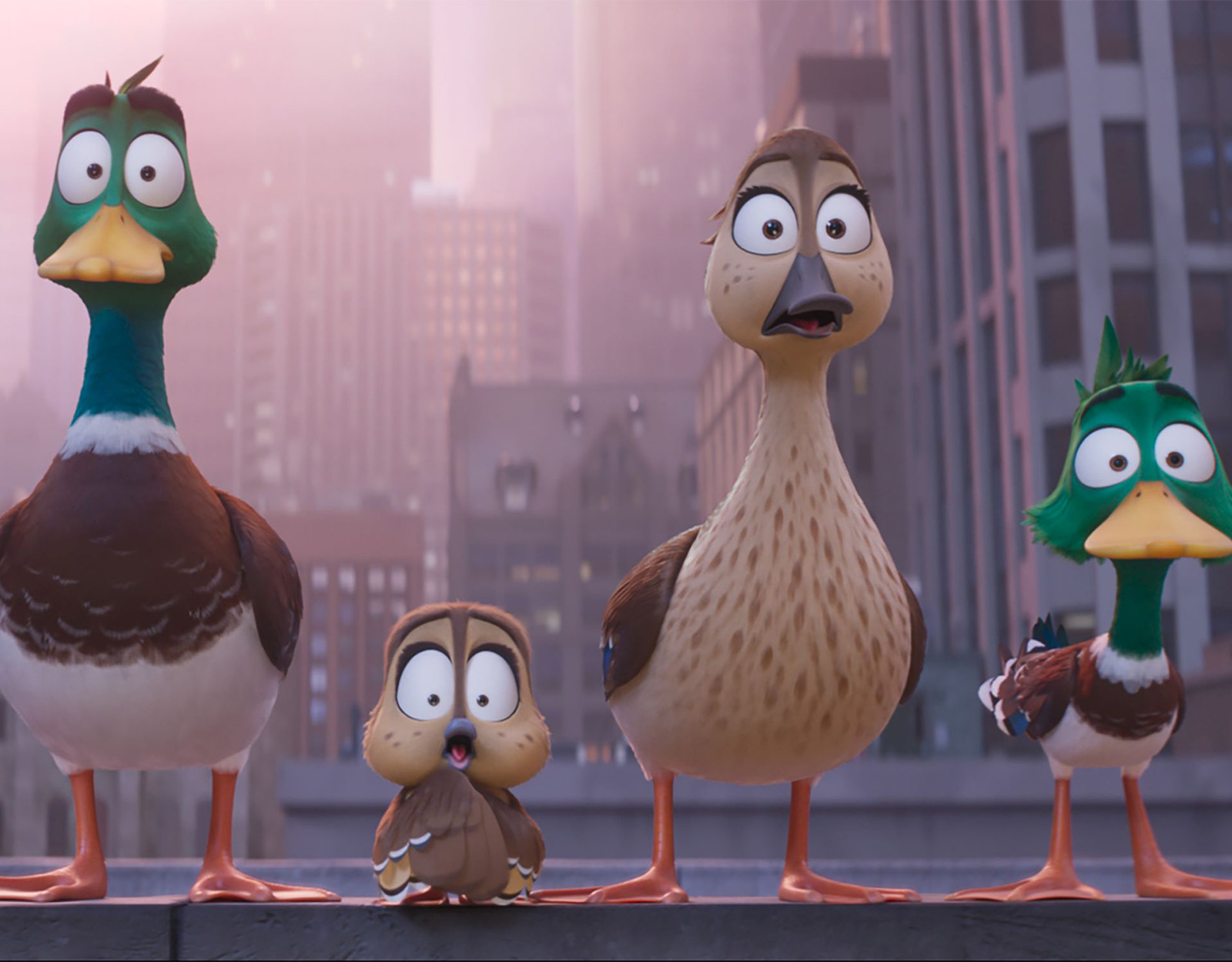 Migration the movie ducks