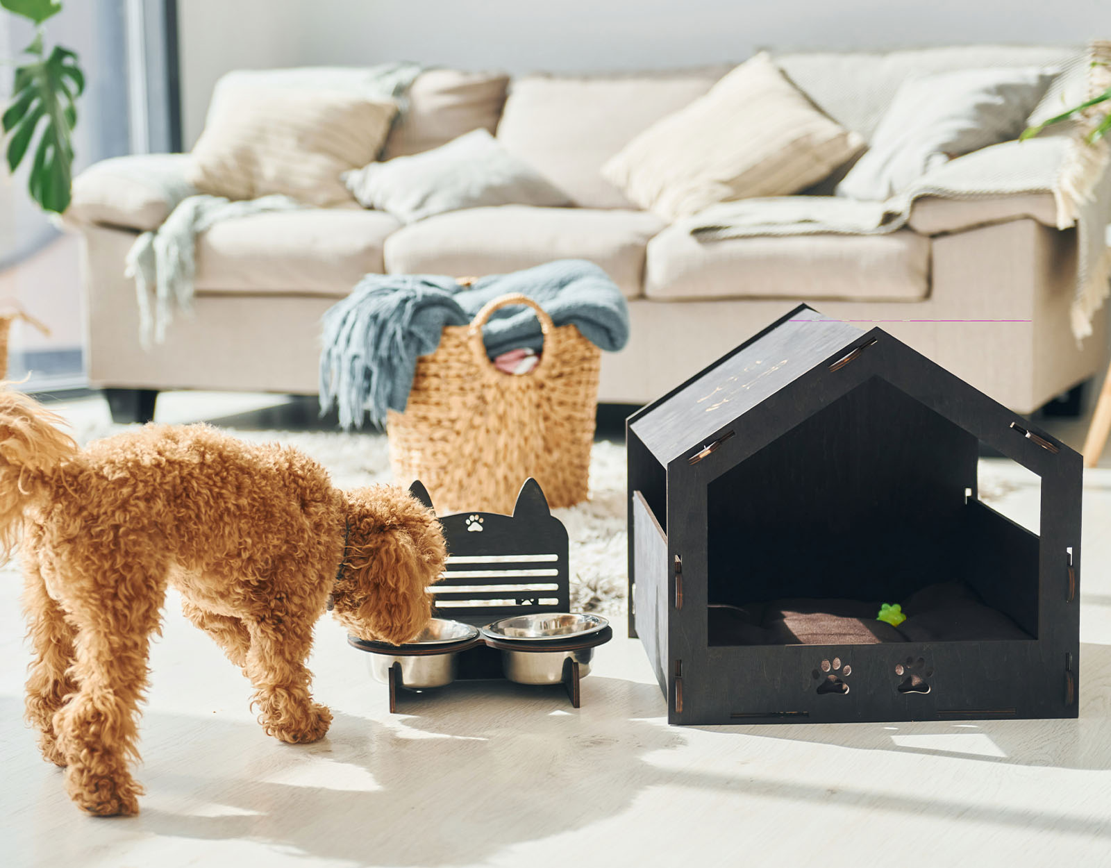 keep a plastic box that contains all our pet's stuff