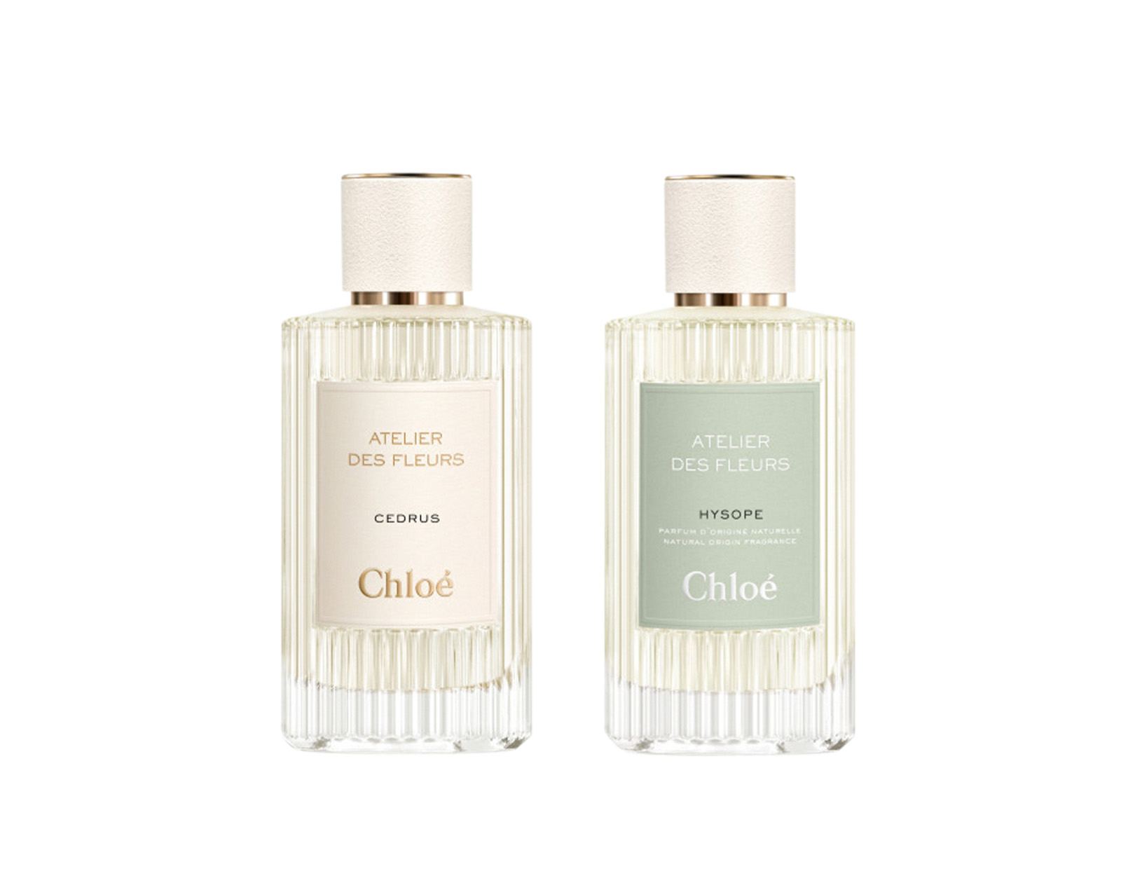 Chloé Atelier des Fleurs collection