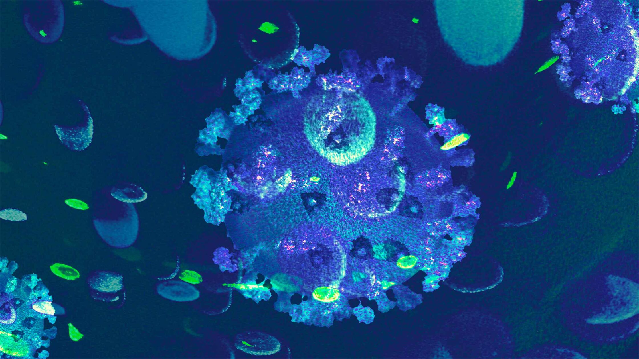 Human Metapneumovirus (HMPV) outbreak