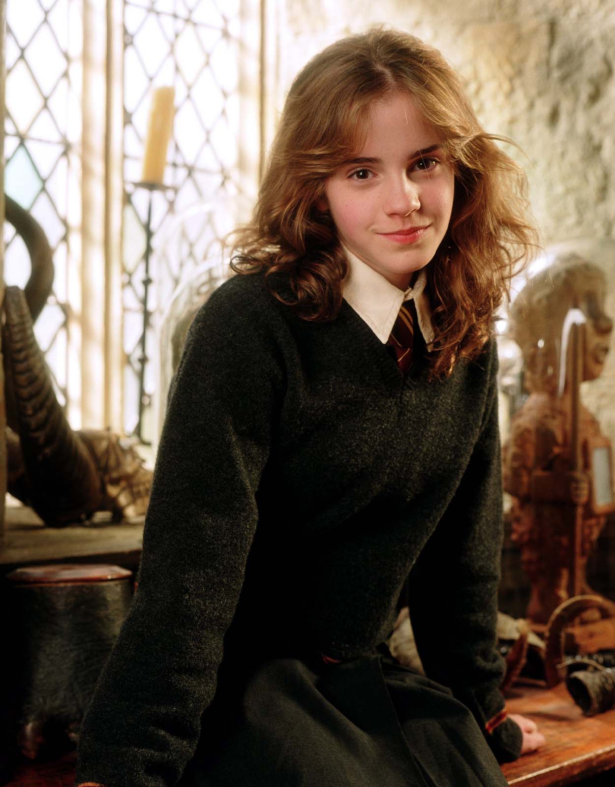 Hermione Granger from Harry Potter