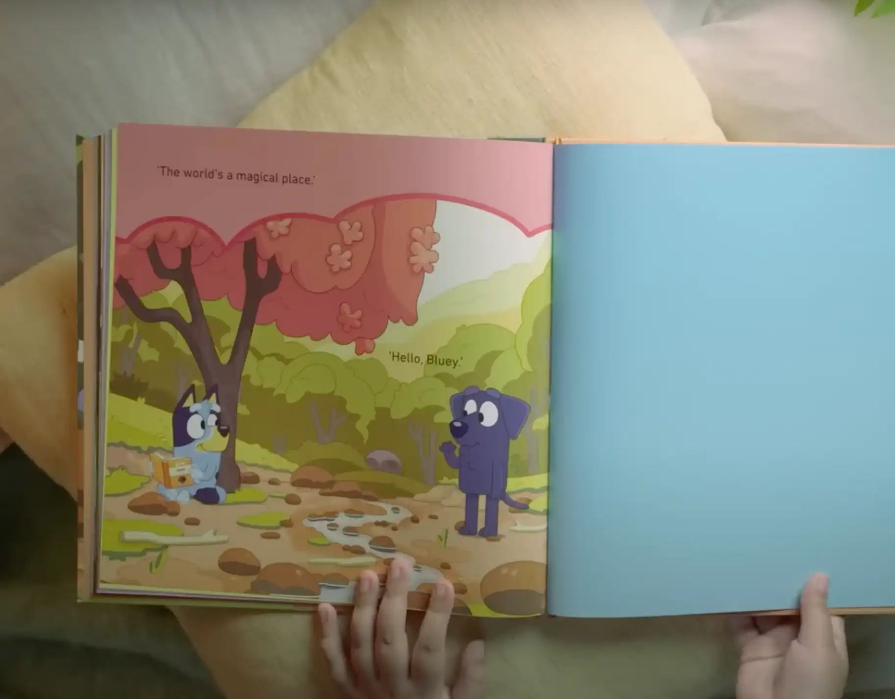 Just in time for the summer, kids can watch Bluey Book Reads season 2 on YouTube and Bluey.tv