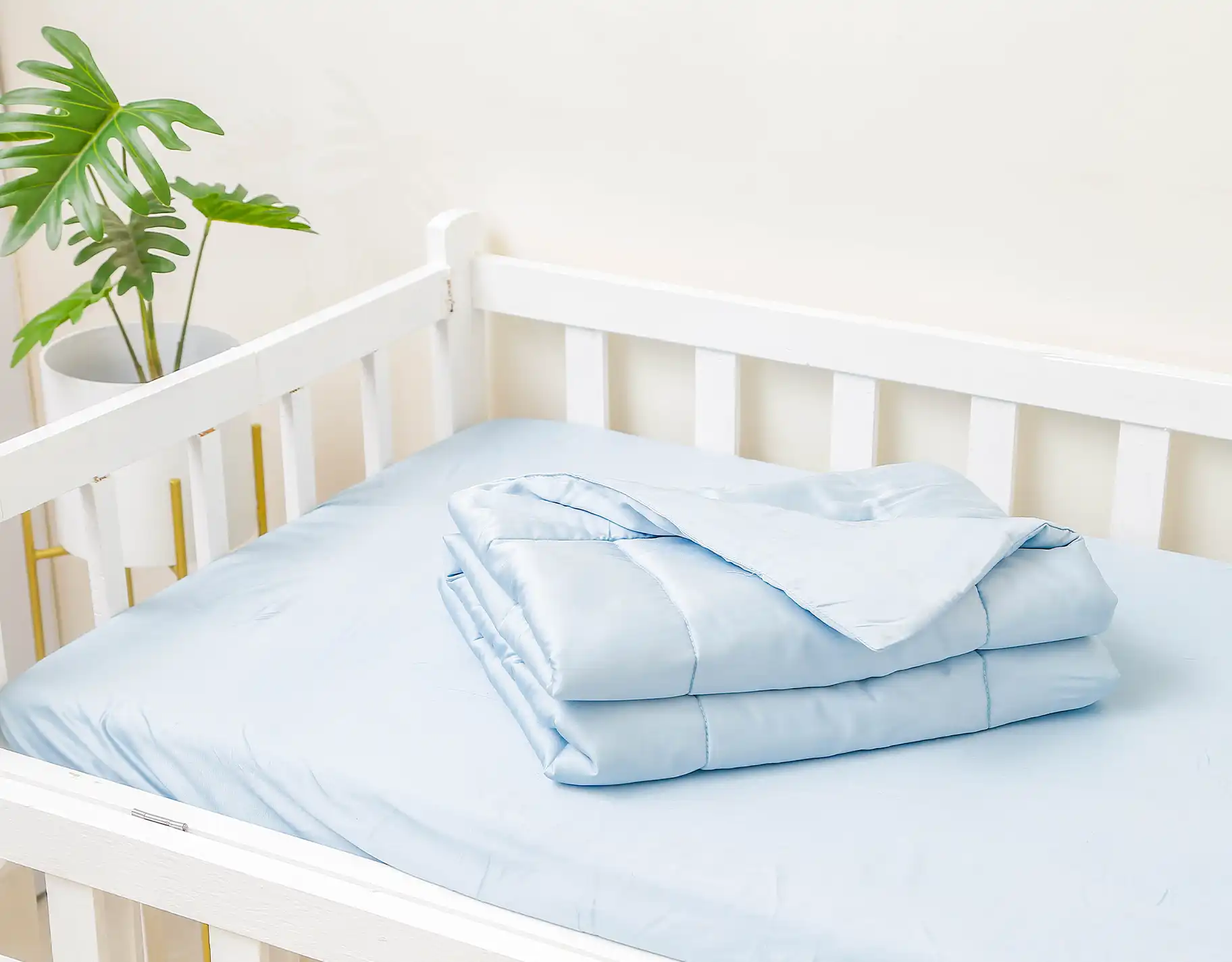 Choosing eco-friendly and sustainable products has never been easier