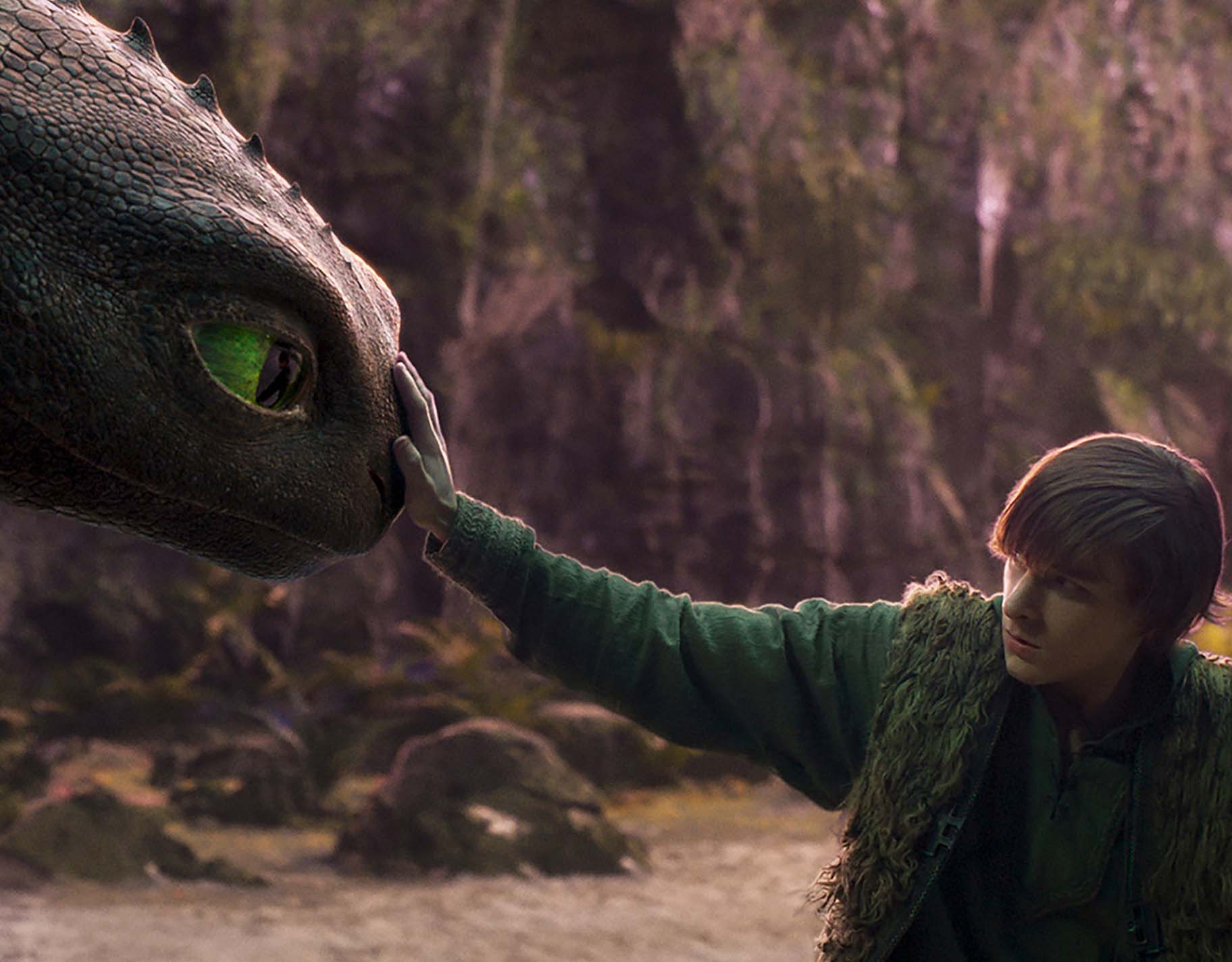 Despite the live-action production of the first How To Train Your Dragon movie not showing in cinemas, the live-action How To Train Your Dragon 2 already has a schedule and details