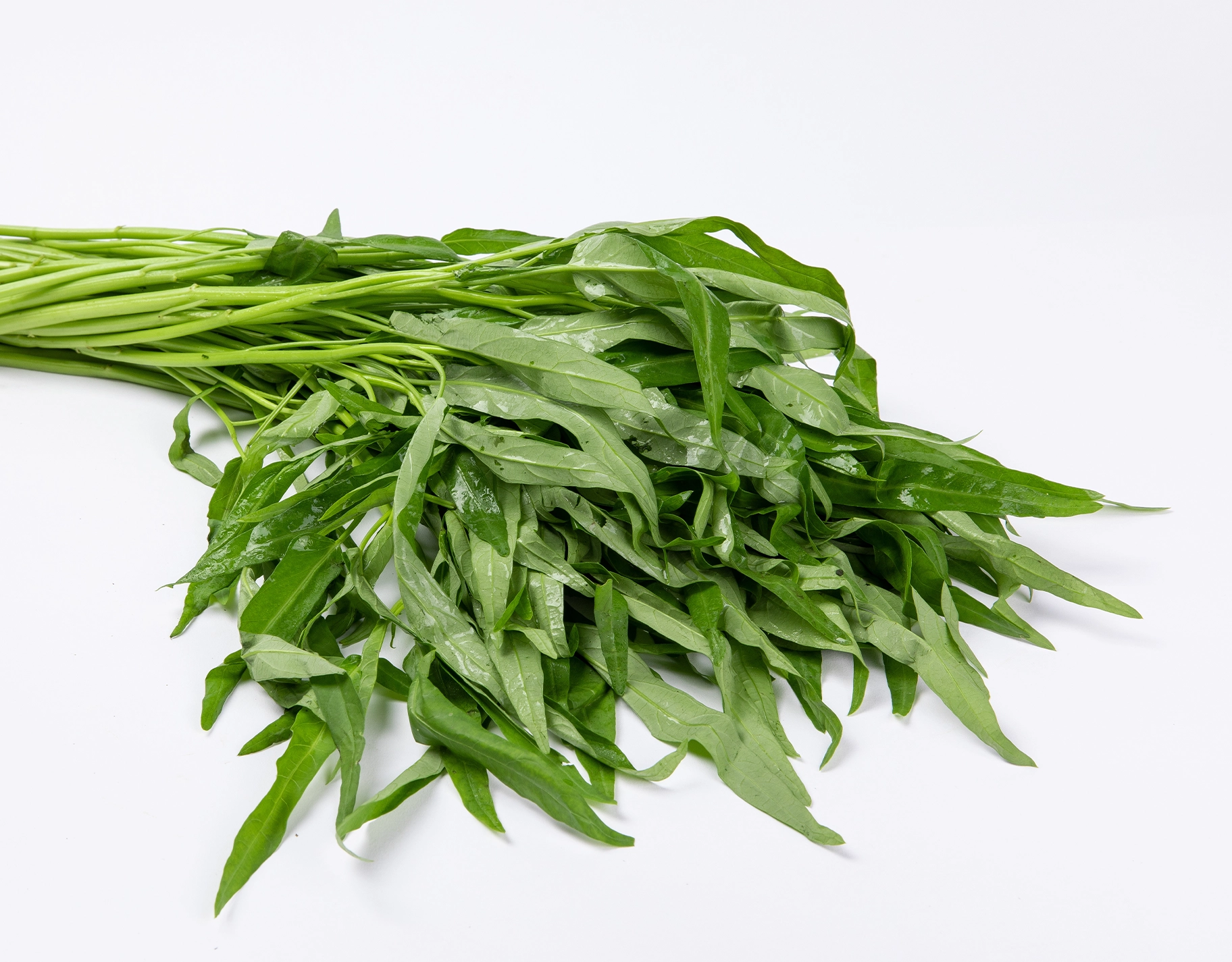 Here are some food that help improve and sustain brain function