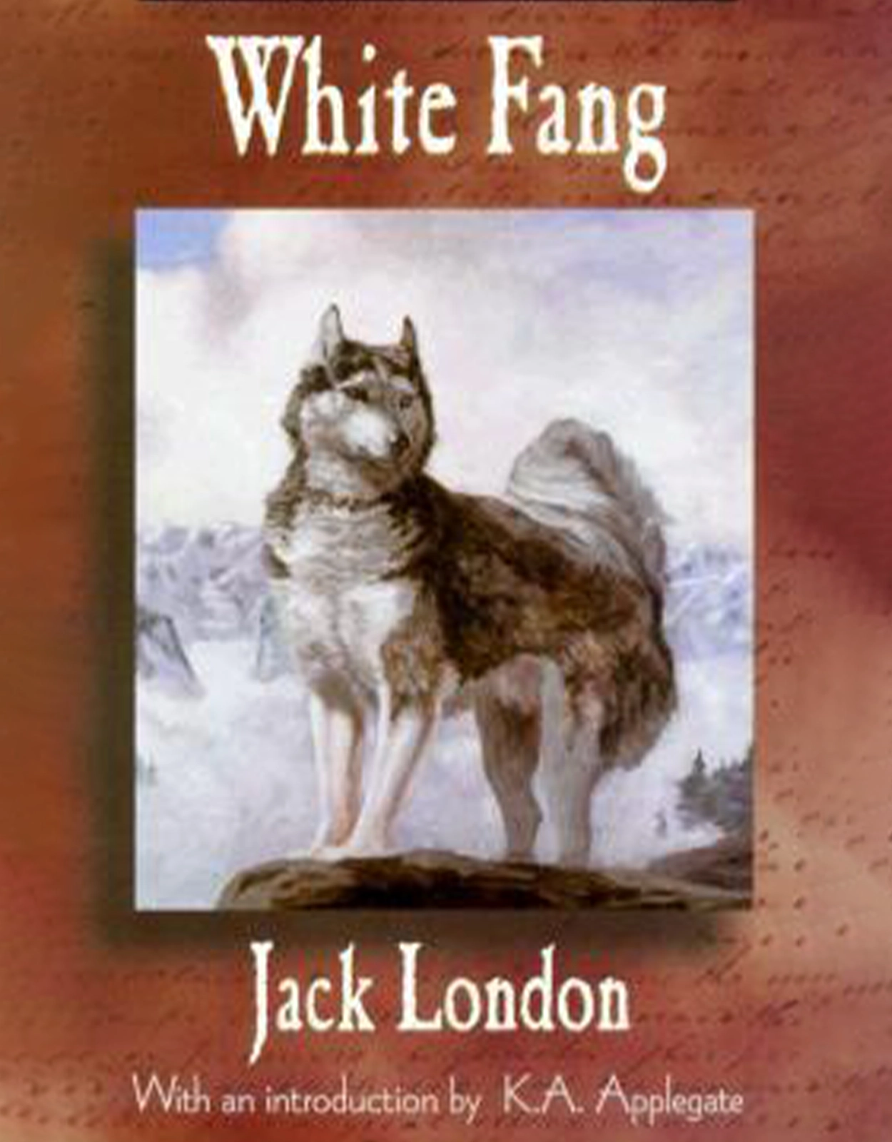 Here are some classic books that'll get our boys reading