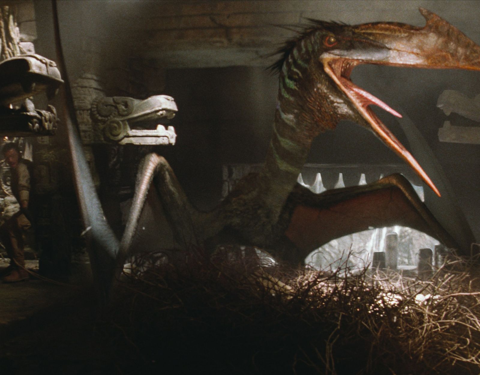 Jurassic World: Rebirth features the Quetzalcoatlus