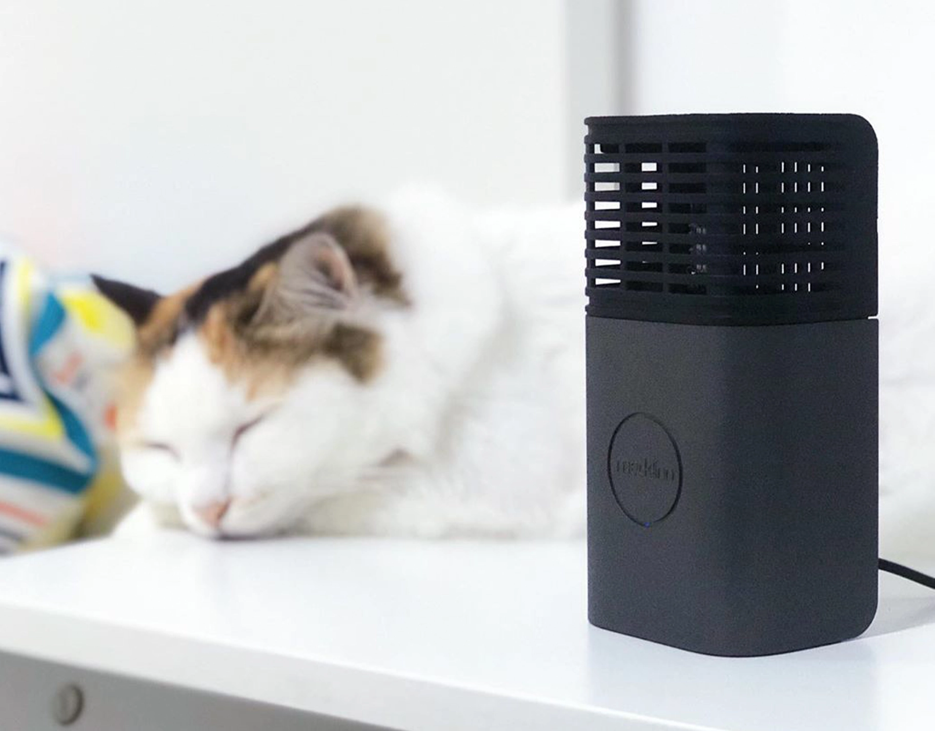 Here are some of Modern Parenting's recommendations for appliances to help clean the air at home