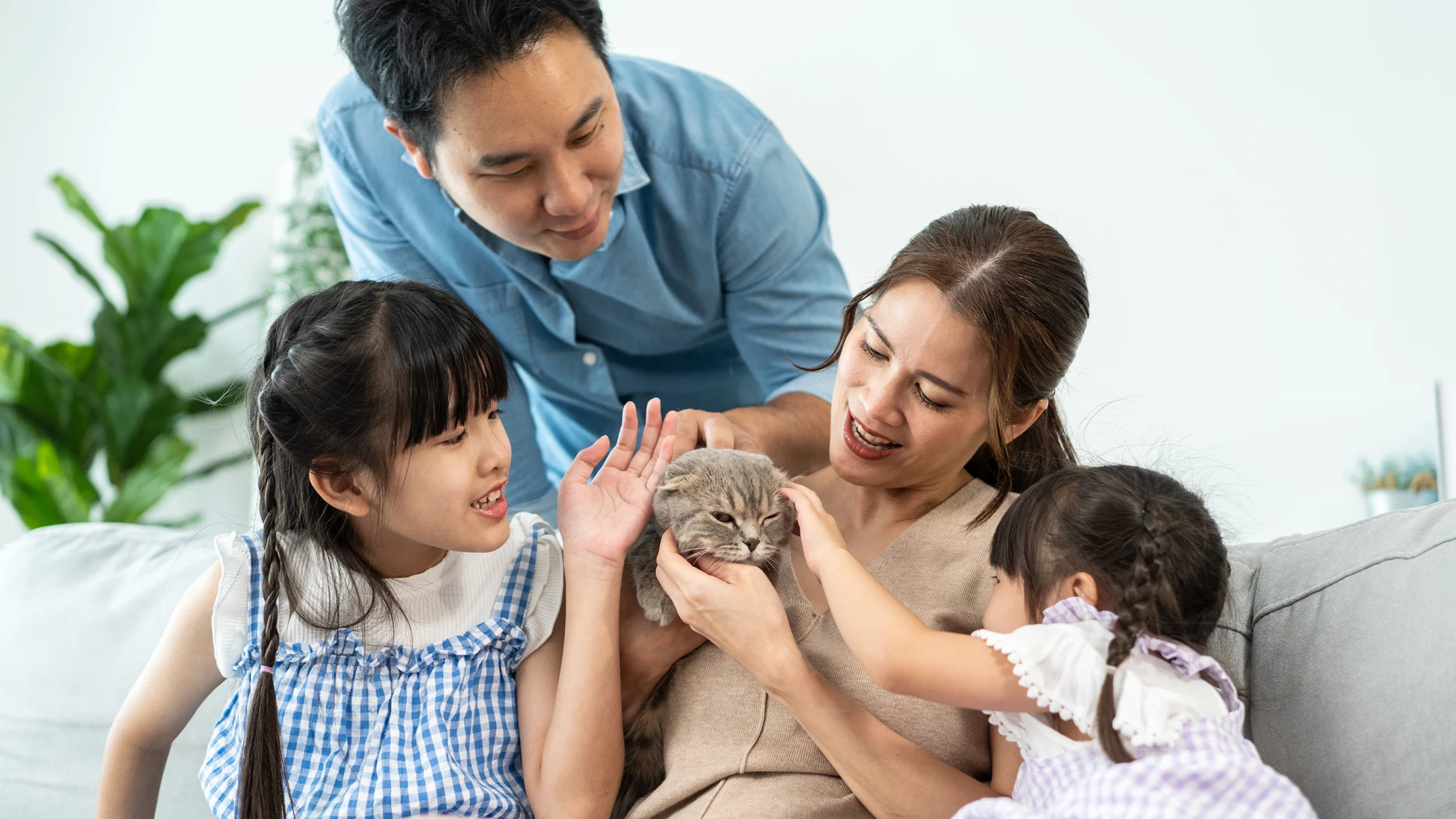 Here's what parents can do when their kids ask for a pet