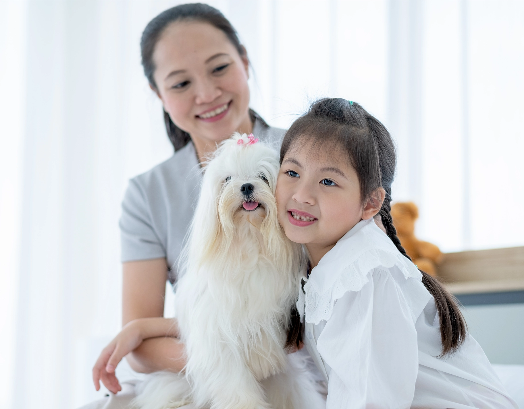 Here's what parents can do when their kids ask for a pet