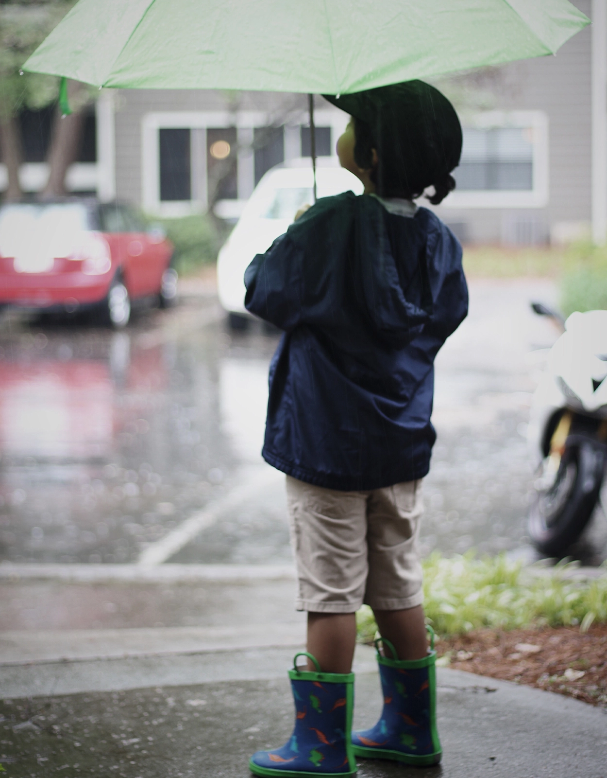 Learning doesn’t always stop when the rain starts pouring. Here's how to turn typhoon days into teachable moments