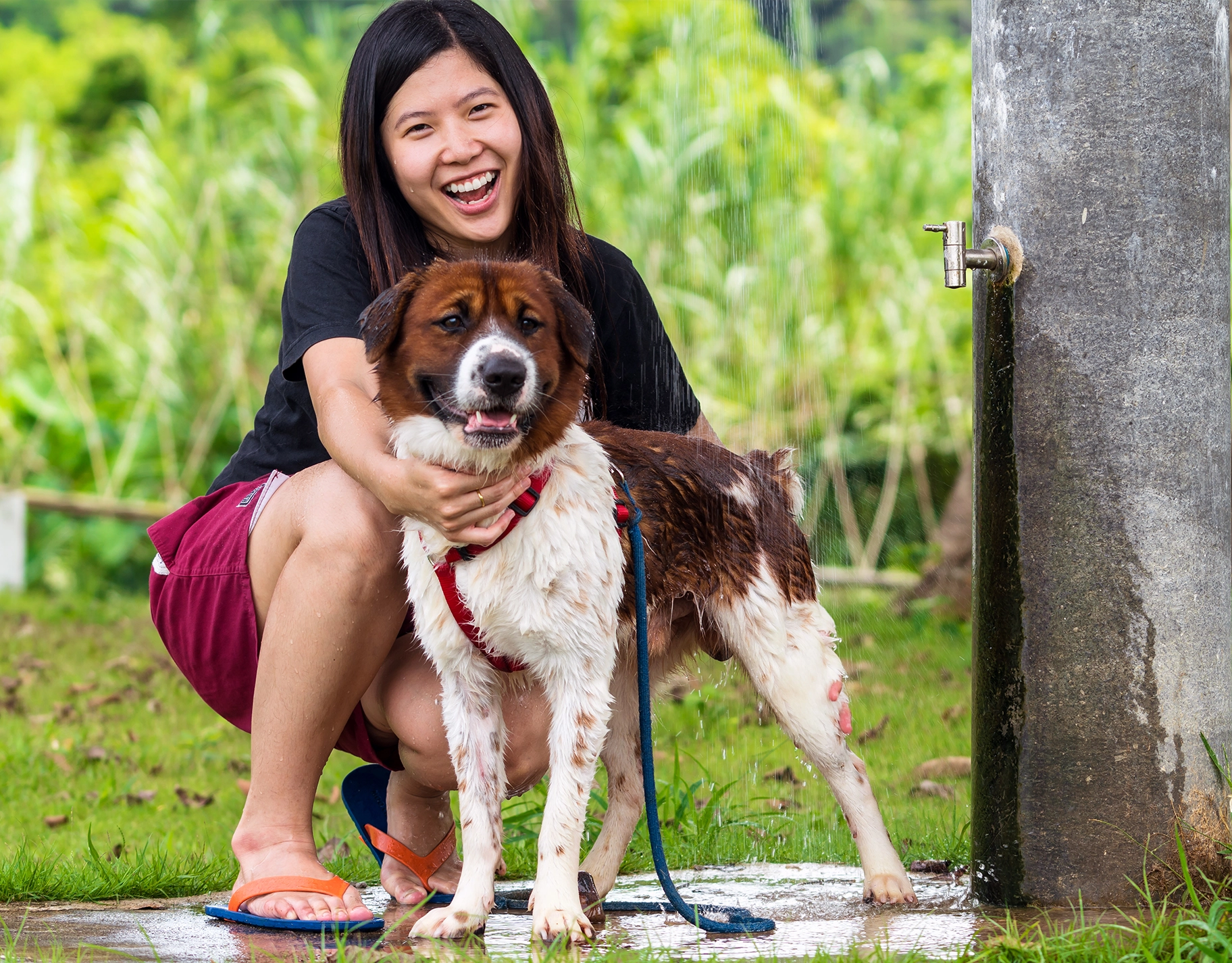 Here's what families need to know about National Animal Welfare Week in the Philippines