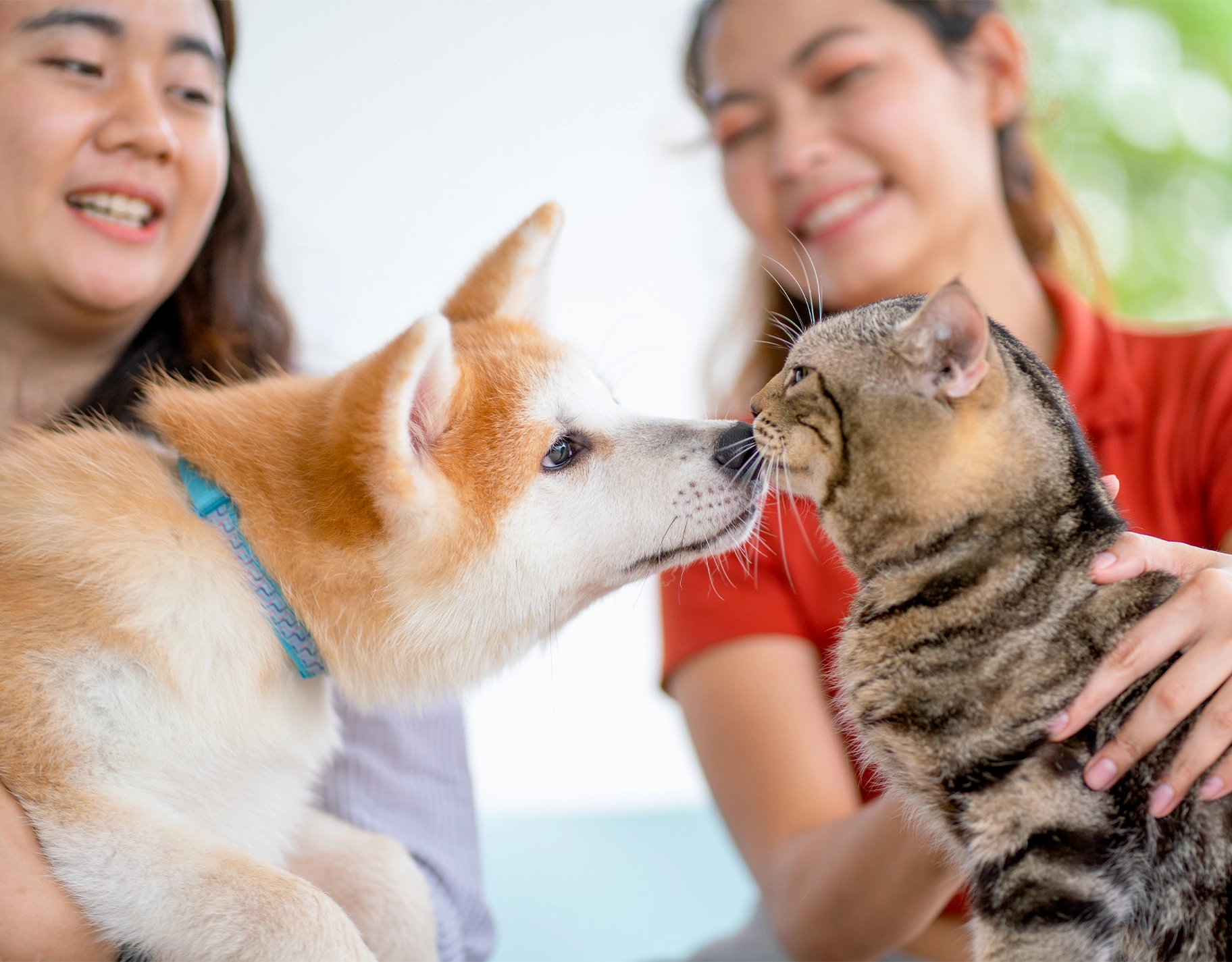 Here's what families need to know about National Animal Welfare Week in the Philippines