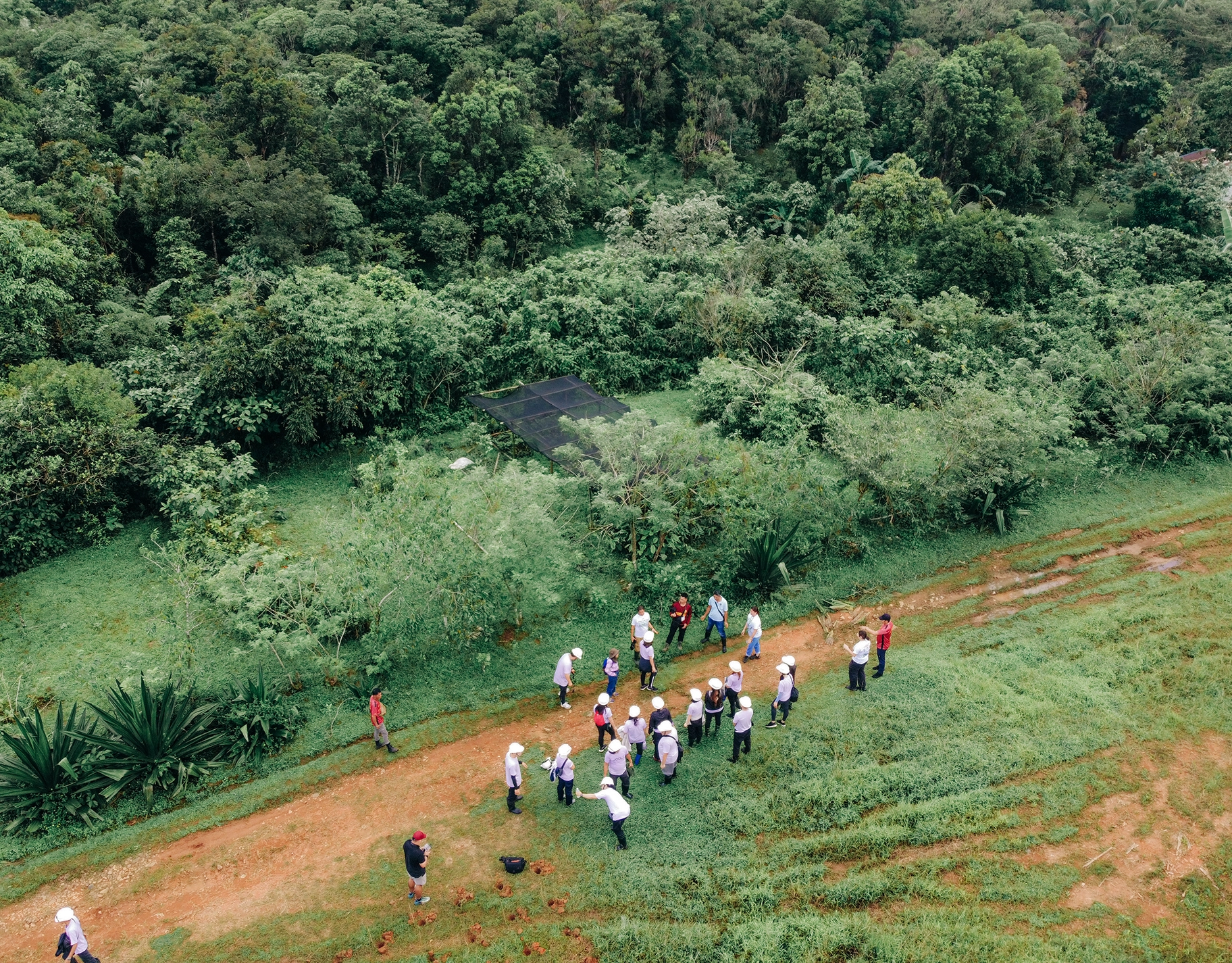 Through its ‘one stroller, one tree’ mission, Joolz Philippines teaches modern parents that sustainability starts at home