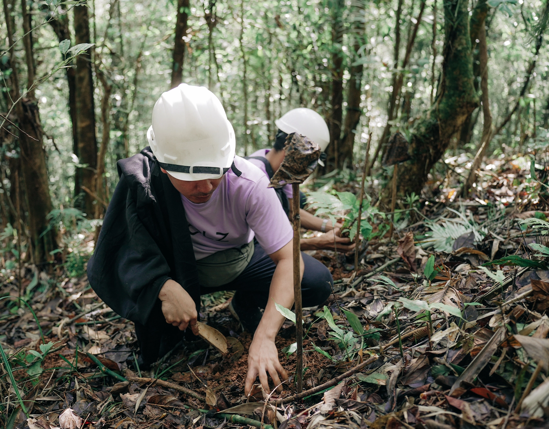 Through its ‘one stroller, one tree’ mission, Joolz Philippines teaches modern parents that sustainability starts at home