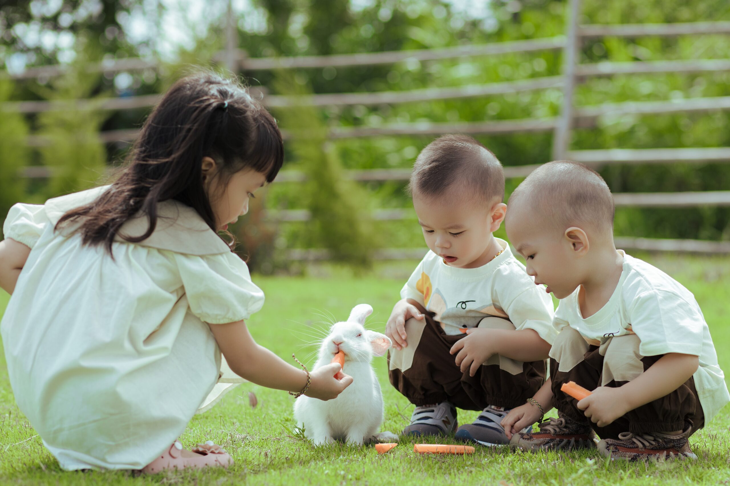 PIDS Study: “When Children Dream Big, Parents Are The Dreamweavers”