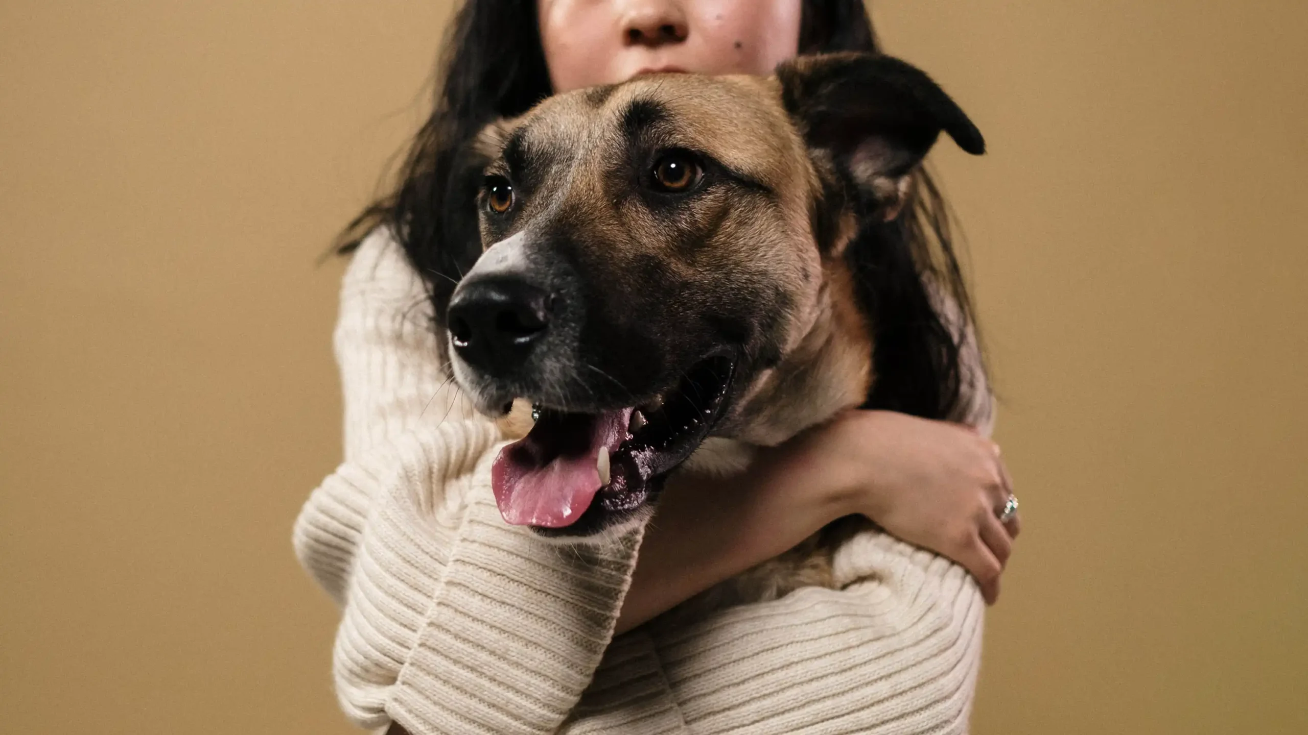 Pet Wellness Is the New Parenting Trend—and Filipino Fur Parents Are Embracing It
