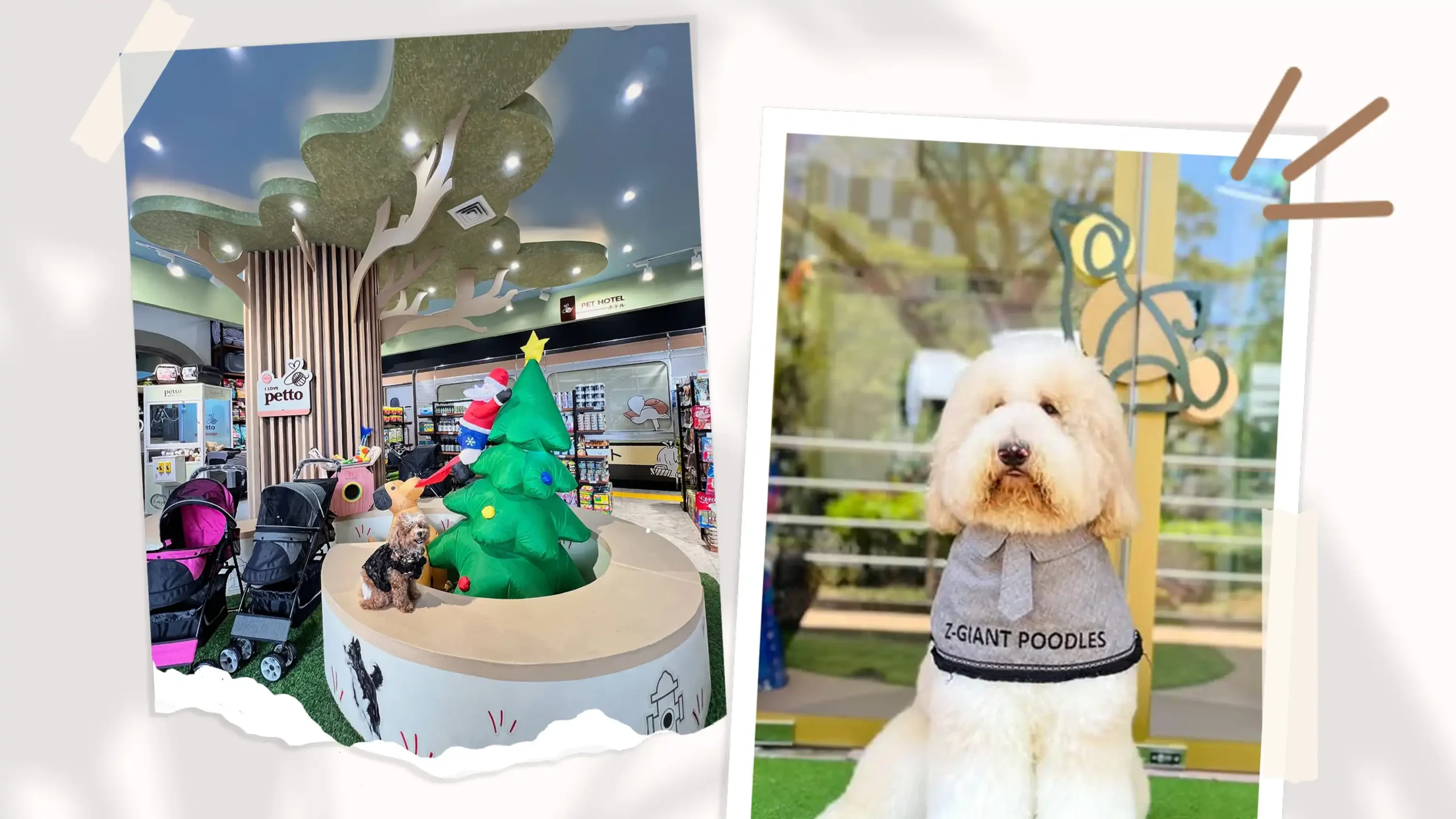 Parents’ Choice Awards 2026: Pet Care