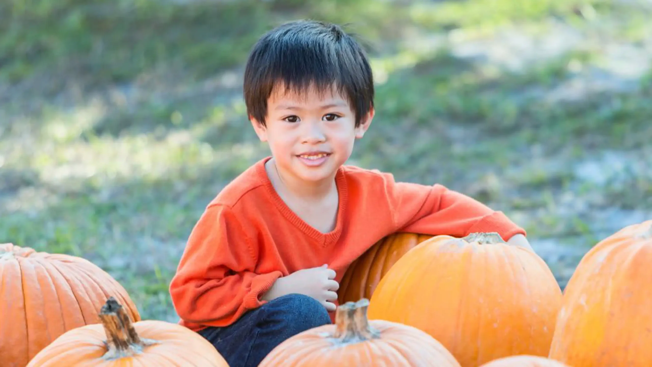 What Kids Can Learn From ‘The Great Pumpkin’